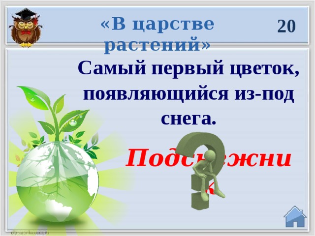 «В царстве растений» 20 Самый первый цветок, появляющийся из-под снега. Подснежник