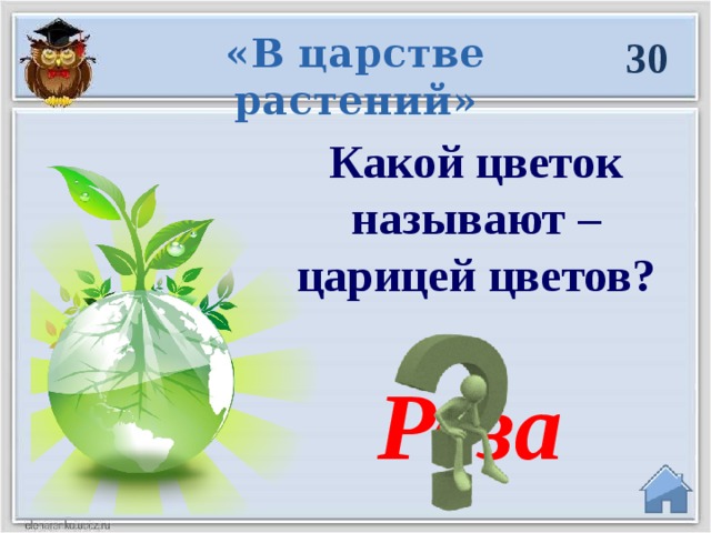 «В царстве растений» 30 Какой цветок называют – царицей цветов? Роза