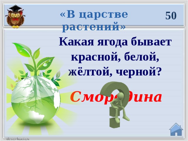 «В царстве растений» 50 Какая ягода бывает красной, белой, жёлтой, черной? Смородина