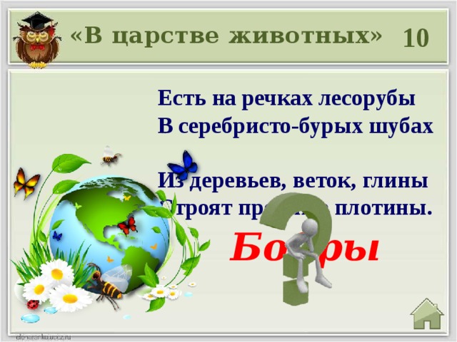 10 «В царстве животных» Есть на речках лесорубы  В серебристо-бурых шубах  Из деревьев, веток, глины  Строят прочные плотины. Бобры