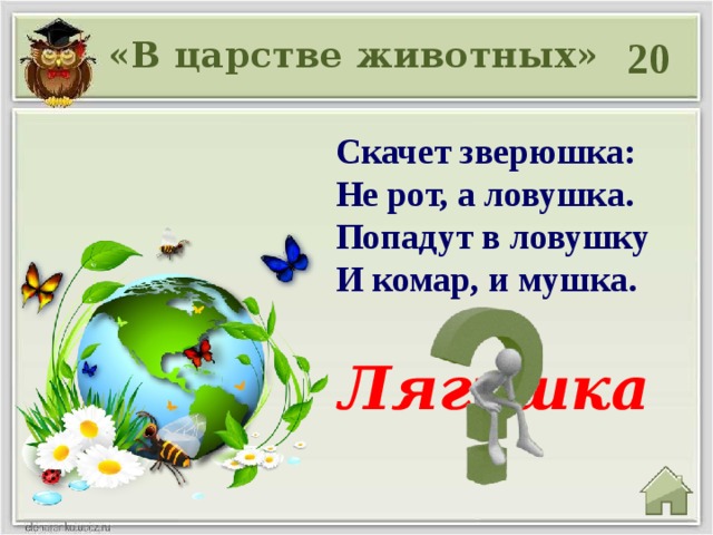 20 «В царстве животных» Скачет зверюшка:  Не рот, а ловушка.  Попадут в ловушку  И комар, и мушка. Лягушка