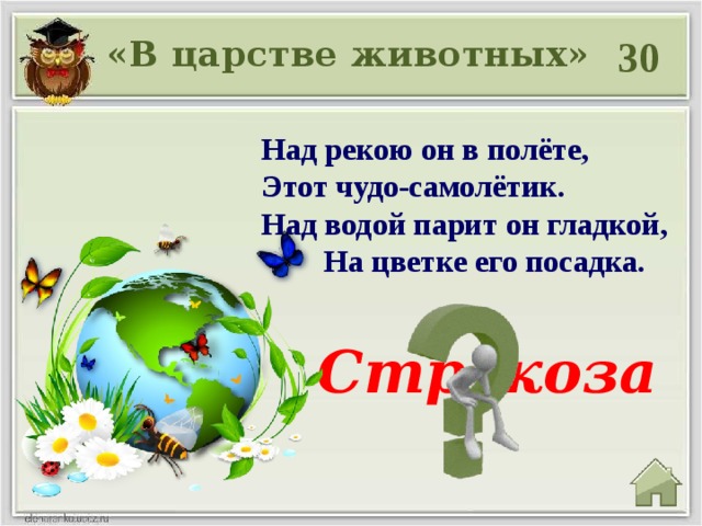 30 «В царстве животных» Над рекою он в полёте,  Этот чудо-самолётик.  Над водой парит он гладкой,  На цветке его посадка.  Стрекоза