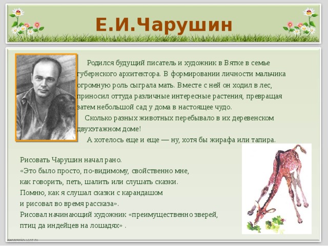 Е.И.Чарушин  Родился будущий писатель и художник в Вятке в семье  губернского архитектора. В формировании личности мальчика  огромную роль сыграла мать. Вместе с ней он ходил в лес,  приносил оттуда различные интересные растения, превращая  затем небольшой сад у дома в настоящее чудо.   Сколько разных животных перебывало в их деревенском  двухэтажном доме!  А хотелось еще и еще — ну, хотя бы жирафа или тапира. Рисовать Чарушин начал рано. «Это было просто, по-видимому, свойственно мне, как говорить, петь, шалить или слушать сказки. Помню, как я слушал сказки с карандашом и рисовал во время рассказа». Рисовал начинающий художник «преимущественно зверей, птиц да индейцев на лошадях» .