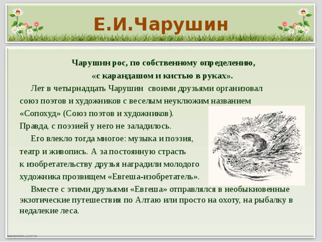 Е.И.Чарушин  Чарушин рос, по собственному определению, «с карандашом и кистью в руках».  Лет в четырнадцать Чарушин своими друзьями организовал союз поэтов и художников с веселым неуклюжим названием «Сопохуд» (Союз поэтов и художников). Правда, с поэзией у него не заладилось.  Его влекло тогда многое: музыка и поэзия, театр и живопись. А за постоянную страсть к изобретательству друзья наградили молодого художника прозвищем «Евгеша-изобретатель».  Вместе с этими друзьями «Евгеша» отправлялся в необыкновенные экзотические путешествия по Алтаю или просто на охоту, на рыбалку в недалекие леса.