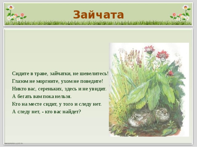 Зайчата Сидите в траве, зайчатки, не шевелитесь! Глазом не моргните, ухом не поведите! Никто вас, сереньких, здесь и не увидит. А бегать вам пока нельзя. Кто на месте сидит, у того и следу нет. А следу нет, - кто вас найдет?