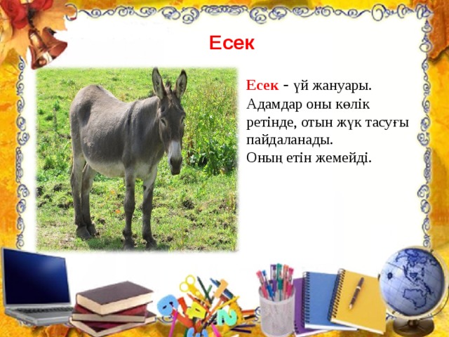 Есек Есек  - үй жануары. Адамдар оны көлік ретінде, отын жүк тасуғы пайдаланады. Оның етін жемейді.