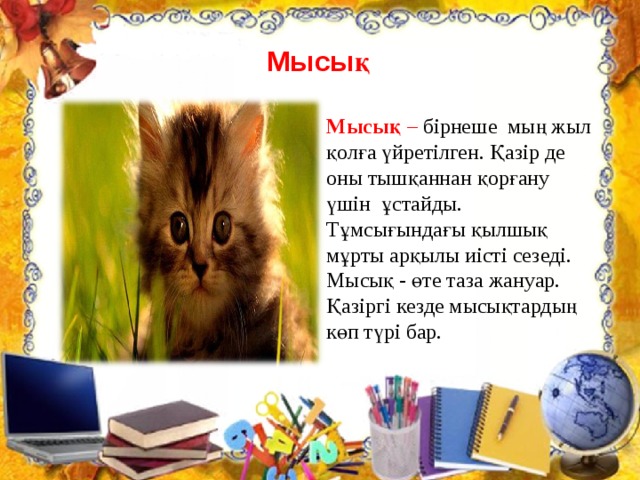 Мысық Мысық  – бірнеше мың жыл қолға үйретілген. Қазір де оны тышқаннан қорғану үшін ұстайды. Тұмсығындағы қылшық мұрты арқылы иісті сезеді. Мысық - өте таза жануар. Қазіргі кезде мысықтардың көп түрі бар.