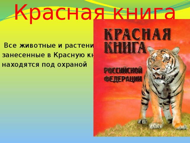 Красная книга  Все животные и растения, занесенные в Красную книгу, находятся под охраной