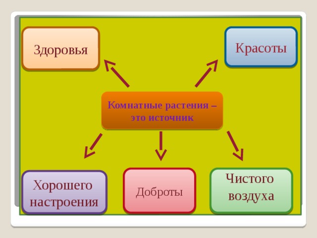 Красоты Здоровья Комнатные растения – это источник Доброты Чистого воздуха Хорошего настроения