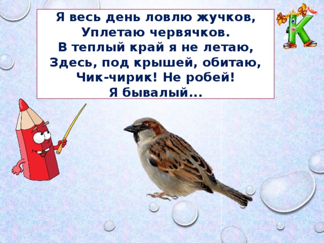 Я весь день ловлю жучков, Уплетаю червячков. В теплый край я не летаю, Здесь, под крышей, обитаю, Чик-чирик! Не робей! Я бывалый...