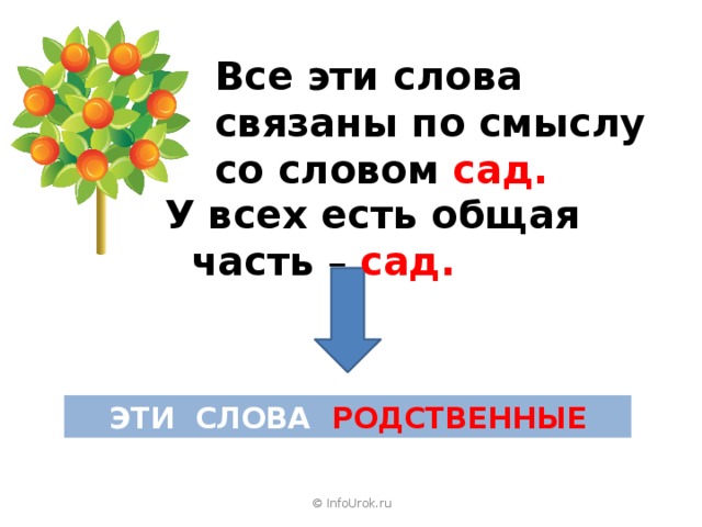 Все эти слова связаны по смыслу со словом сад. У всех есть общая часть – сад. ЭТИ СЛОВА РОДСТВЕННЫЕ © InfoUrok.ru