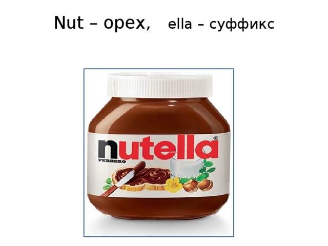 Nut – орех, ella – суффикс