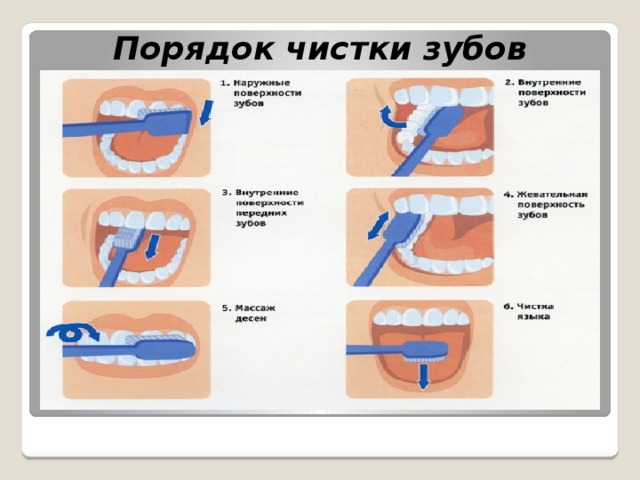 Порядок чистки зубов