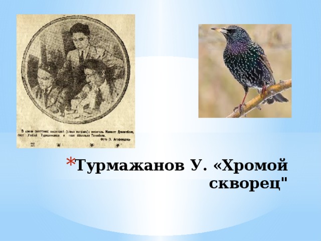 Произведение скворцы. Текст рассказ хромой скворец у Турманжанов. Рассказ скворцы. Турежанов хромой скворец. Скворец живопись.