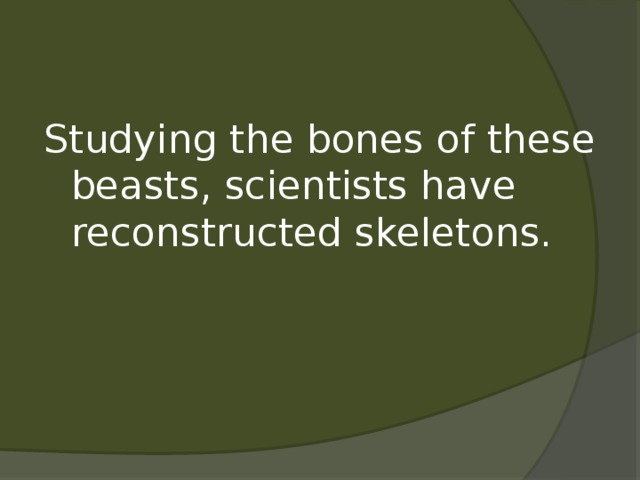Studying the bones of these beasts, scientists have reconstructed skeletons.