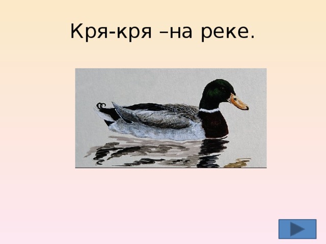 Кря-кря –на реке.