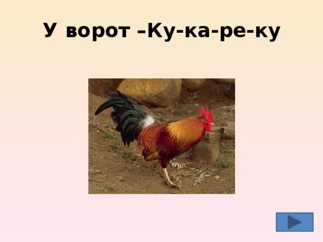 У ворот –Ку-ка-ре-ку