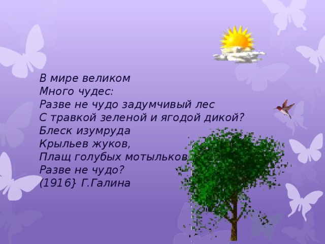 В мире великом  Много чудес:  Разве не чудо задумчивый лес   С травкой зеленой и ягодой дикой?  Блеск изумруда  Крыльев жуков,   Плащ голубых мотыльков —  Разве не чудо?  (1916} Г.Галина