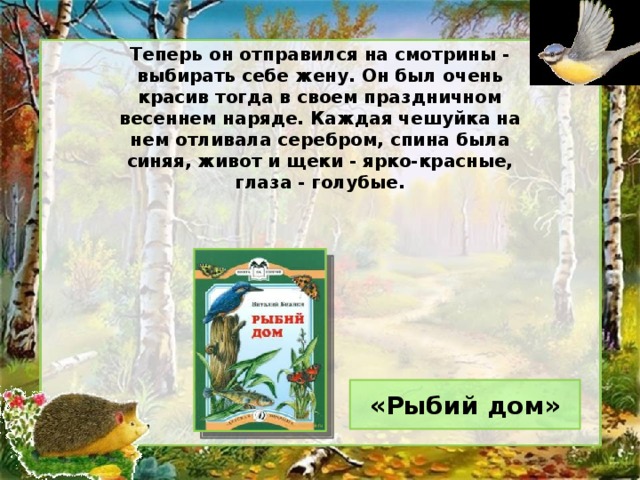 Теперь он отправился на смотрины - выбирать себе жену. Он был очень красив тогда в своем праздничном весеннем наряде. Каждая чешуйка на нем отливала серебром, спина была синяя, живот и щеки - ярко-красные, глаза - голубые. «Рыбий дом»