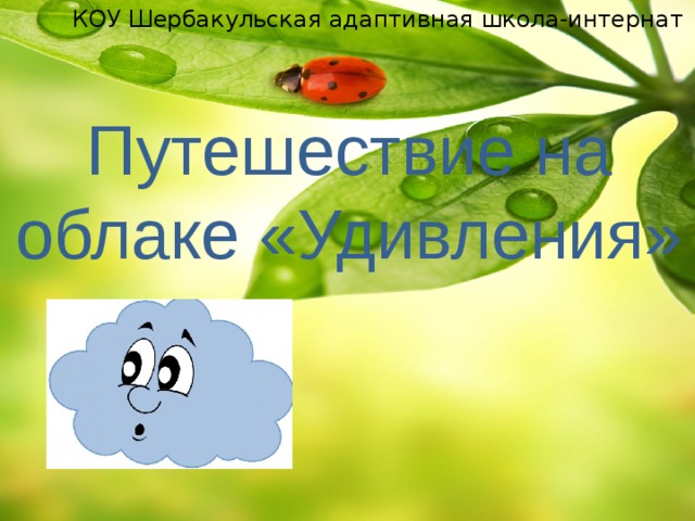 КОУ Шербакульская адаптивная школа-интернат Путешествие на облаке «Удивления»