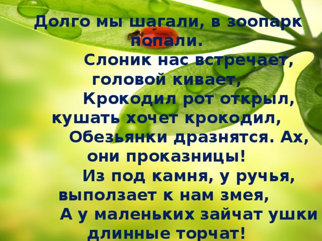 Долго мы шагали, в зоопарк попали.  Слоник нас встречает, головой кивает,  Крокодил рот открыл, кушать хочет крокодил,  Обезьянки дразнятся. Ах, они проказницы!  Из под камня, у ручья, выползает к нам змея,  А у маленьких зайчат ушки длинные торчат!