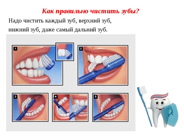 Как правильно чистить зубы? Надо чистить каждый зуб, верхний зуб, нижний зуб, даже самый дальний зуб.