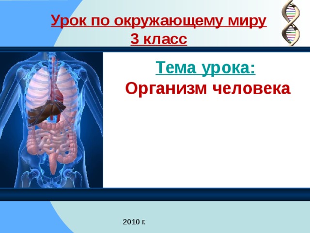Урок по окружающему миру  3 класс Тема урока:   Организм человека Покаляева И.П. 2010 г.