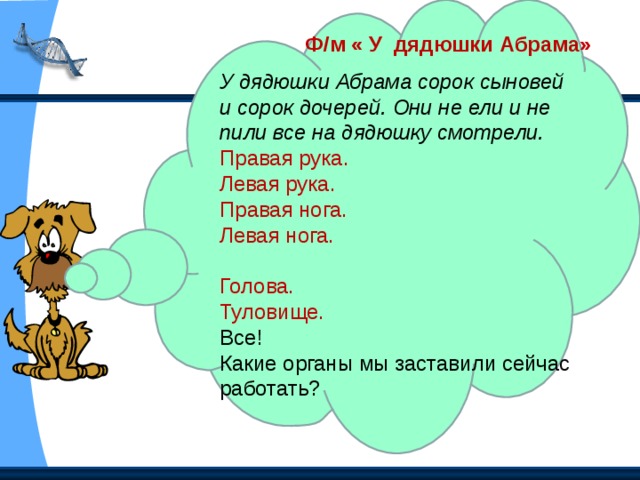 Внешнее  строение тела человека  Голова  Шея  Туловище ( грудь, живот, спина)  Верхние и нижние конечности