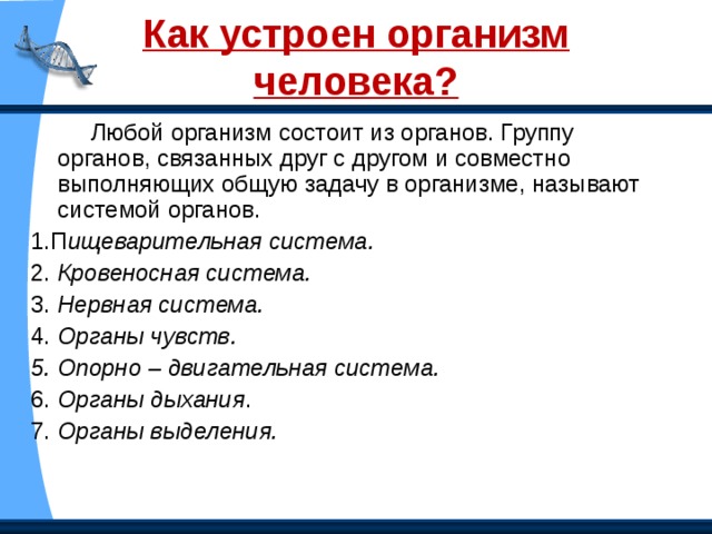 Внутреннее строение тела человека Головной мозг Легкие Сердце Печень Желудок Кишечник