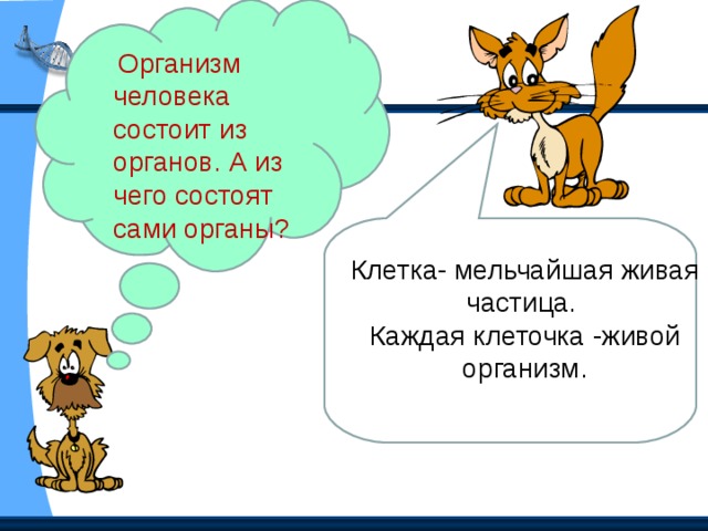 СИСТЕМЫ ОРГАНОВ Название системы Из каких органов состоит Пищеварительная Какую работу выполняет Пищевод Желудок Кишечник и др. Кровеносная Нервная Сердце Кровеносные сосуды Обеспечивает переваривание пищи Обеспечивает движение крови в организме Головной мозг Спинной мозг Нервы Управляет деятельностью всего организма