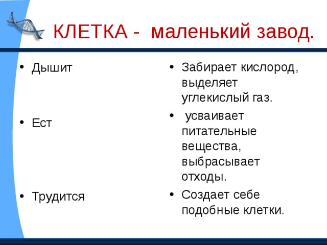 Организм человека состоит из органов. А из чего состоят сами органы? Клетка- мельчайшая живая частица. Каждая клеточка -живой организм.