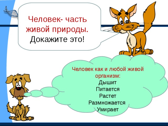 Этот раздел учебника познакомит вас с тем, *как устроен и работает организм человека; *что нужно и чего нельзя делать для того, чтобы быть здоровым. Организм человека. Органы чувств. Надежная защита организма. Опора тела и движение. Наше питание. Дыхание и кровообращение. Умей предупреждать болезни. Здоровый образ жизни.