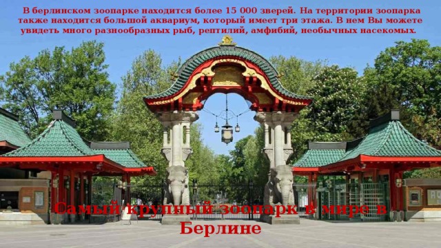 В берлинском зоопарке находится более 15 000 зверей. На территории зоопарка также находится большой аквариум, который имеет три этажа. В нем Вы можете увидеть много разнообразных рыб, рептилий, амфибий, необычных насекомых. Самый крупный зоопарк в мире в Берлине