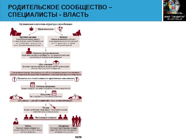 РОДИТЕЛЬСКОЕ СООБЩЕСТВО –СПЕЦИАЛИСТЫ - ВЛАСТЬ