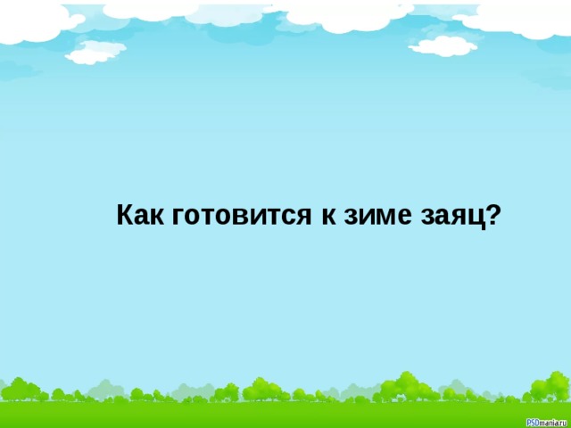 Как готовится к зиме заяц? Какая птица охотится ночью?