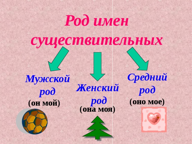 Род имен существительных Средний род Мужской род Женский род (оно мое) (он мой) (она моя)