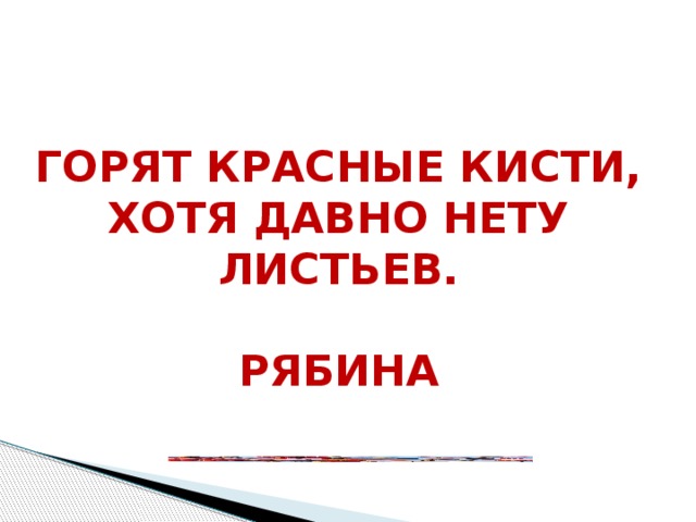 Горят красные кисти, Хотя давно нету листьев.  Рябина  Горят красные кисти, Хотя давно нету листьев.