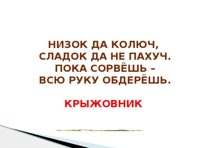 Низок да колюч,  Сладок да не пахуч.  Пока сорвёшь –  Всю руку обдерёшь.  Крыжовник  Низок, да колюч,  Сладок, да не пахуч.  Пока сорвёшь –  Всю руку обдерёшь.(