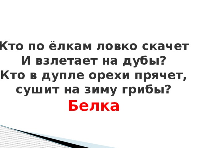 Кто по ёлкам ловко скачет И взлетает на дубы? Кто в дупле орехи прячет, сушит на зиму грибы? Белка Кто по ёлкам ловко скачет И взлетает на дубы? Кто в дупле орехи прячет, Сушит на зиму грибы?