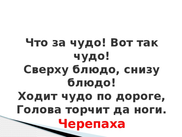 Что за чудо! Вот так чудо! Сверху блюдо, снизу блюдо! Ходит чудо по дороге, Голова торчит да ноги. Черепаха Что за чудо! Вот так чудо! Сверху блюдо, снизу блюдо! Ходит чудо по дороге, Голова торчит да ноги.