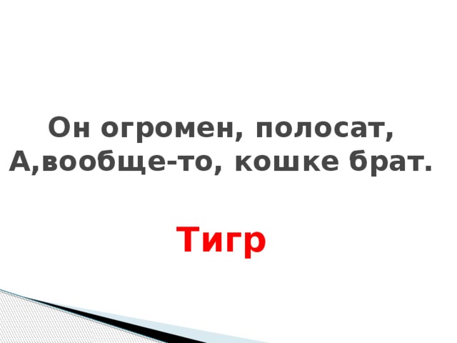 Он огромен, полосат, А,вообще-то, кошке брат.  Тигр Он огромен,полосат, А вообще-то, кошке брат. Тигр