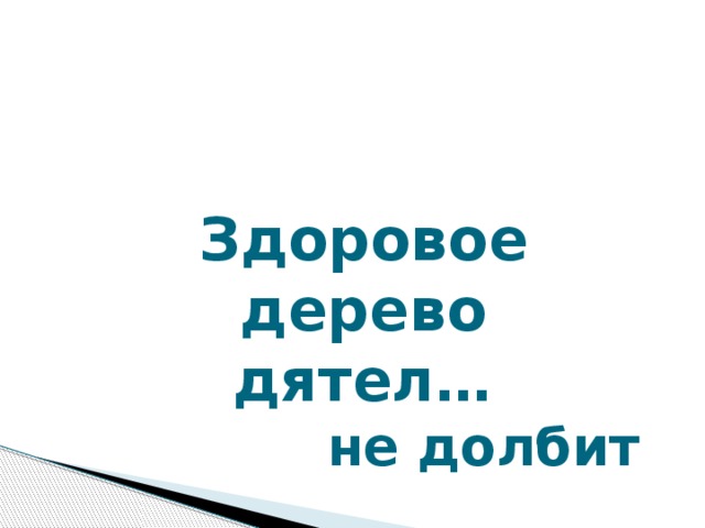 Здоровое дерево дятел…  не долбит Здоровое дерево дятел… ( не долбит)