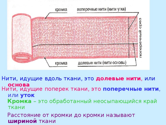 В ткани различают    долевые   нити  поперечные    нити  основа    уток По краям ткани в долевом направлении проходит кромка