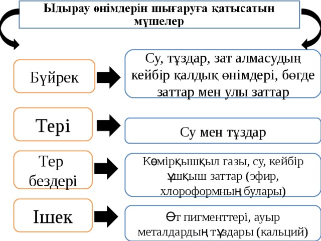 Су, тұздар, зат алмасудың кейбір қалдық өнімдері, бөгде заттар мен улы заттар Бүйрек Тері Су мен тұздар Тер бездері Көмірқышқыл газы, су, кейбір ұшқыш заттар (эфир, хлороформның булары) Ішек Өт пигменттері, ауыр металдардың тұздары (кальций)