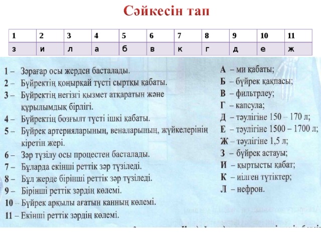 1 2 з и 3 4 л 5 а 6 б в 7 8 к г 9 д 10 е 11 ж