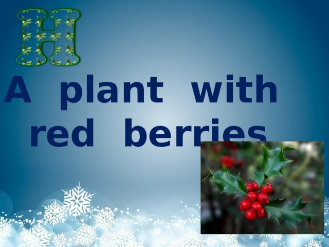 A plant with red berries