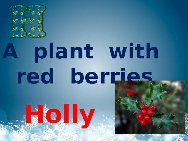 A plant with red berries Holly