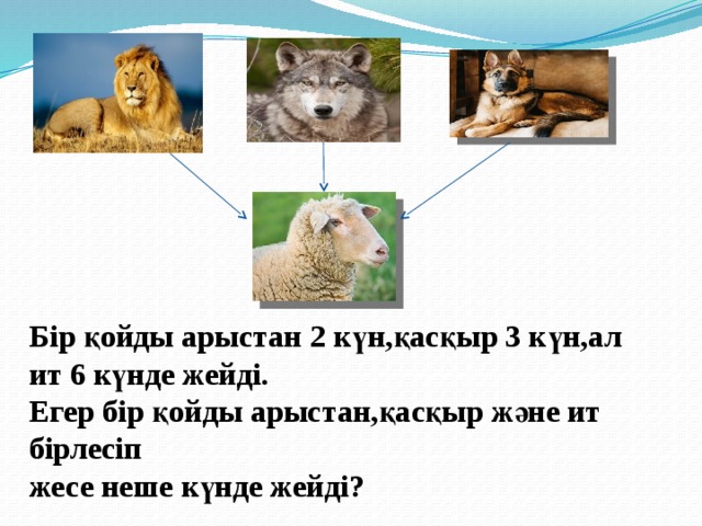 Бір қойды арыстан 2 күн,қасқыр 3 күн,ал ит 6 күнде жейді. Егер бір қойды арыстан,қасқыр және ит бірлесіп жесе неше күнде жейді?