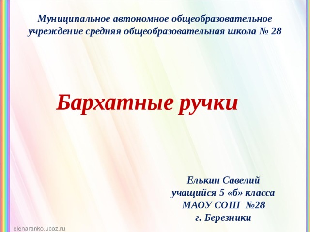 Муниципальное автономное общеобразовательное учреждение средняя общеобразовательная школа № 28 Бархатные ручки Елькин Савелий учащийся 5 «б» класса МАОУ СОШ №28 г. Березники