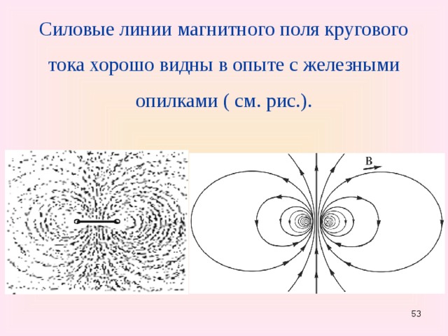 Силовые линии магнитного поля кругового тока хорошо видны в опыте с железными опилками ( см. рис.). 51